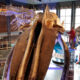 a blue whale skeleton on display at a museum