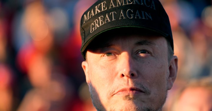 Elon Musk joins Trump at U.S. election rally, declares ‘I am dark MAGA’ - National