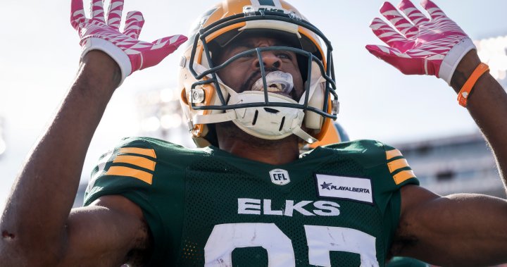 Lewis’ late TD lifts Elks to 23-18 win, season series sweep of Stampeders - Edmonton