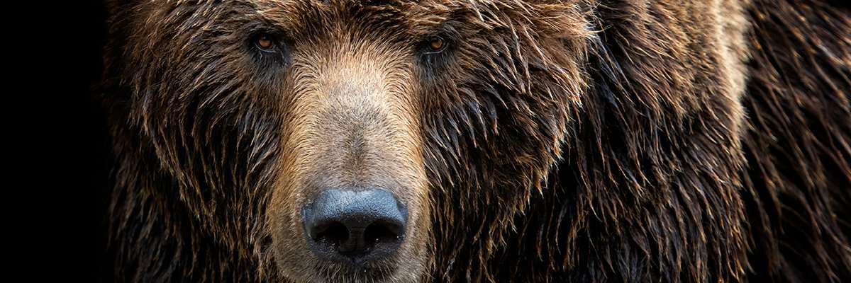 NCSC issues fresh alert over wave of Cozy Bear activity