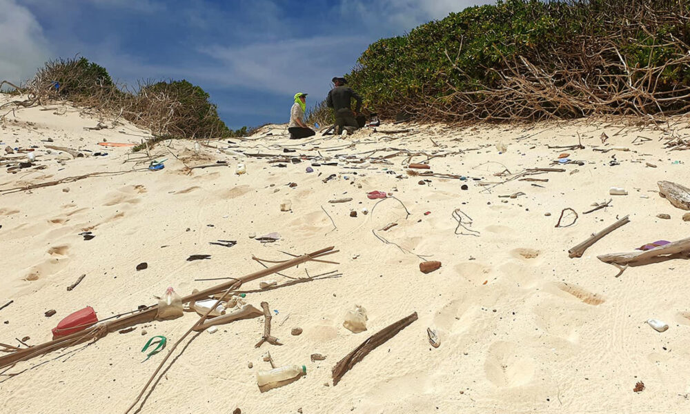 Satellite imaging can now spot plastic trash hiding on beaches