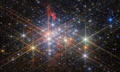 Stellar showcase: Webb spotlights dazzling super star cluster Westerlund 1