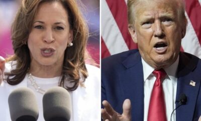 U.S. election: How would Harris, Trump immigration plans impact Canada? - National