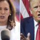 U.S. election: How would Harris, Trump immigration plans impact Canada? - National