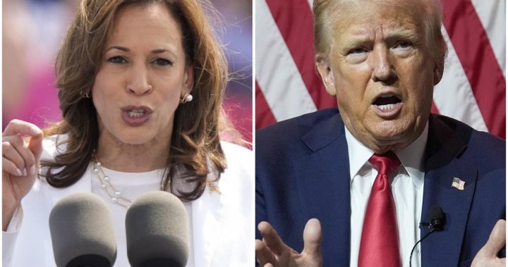 U.S. election: How would Harris, Trump immigration plans impact Canada? - National