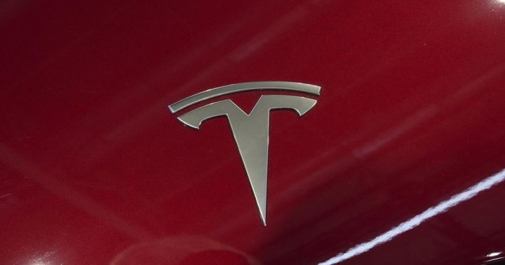 U.S. probes Tesla’s ‘full self-driving’ system after crashes in low visibility - National