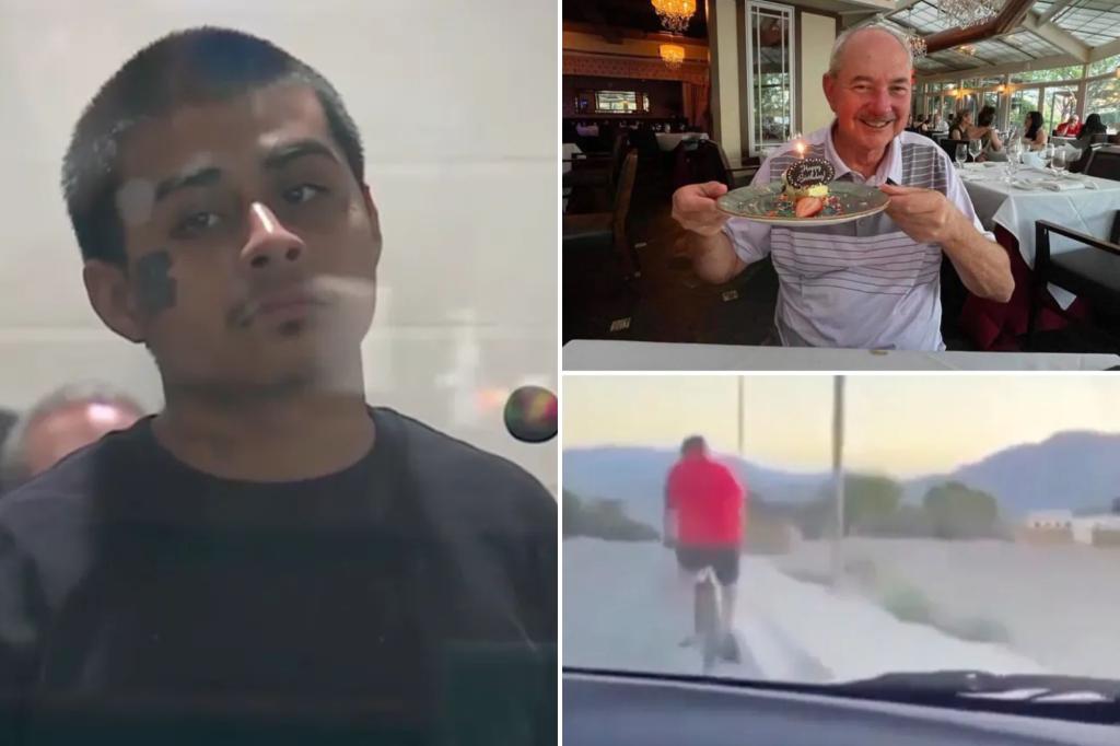 Vegas teen Jesus Ayala accused of killing retired police chief Andreas Probst in hit-and-run found unfit to stand trial