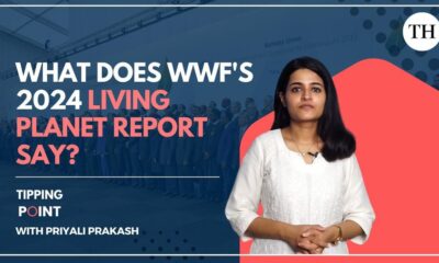 Watch: What does WWF’s 2024 Living Planet Report say?