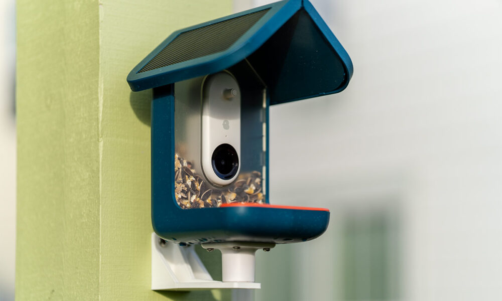 We love the Bird Buddy smart bird feeder camera and it's at its lowest price ever for Prime Day