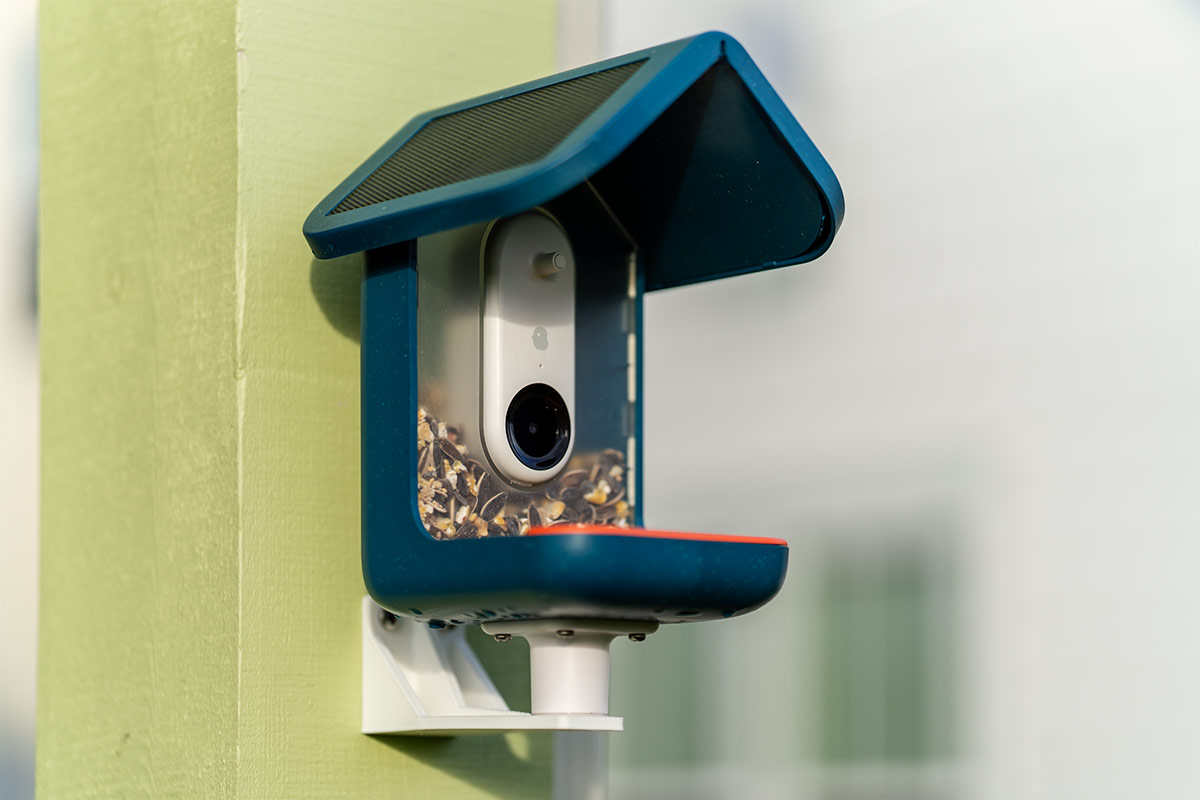 We love the Bird Buddy smart bird feeder camera and it's at its lowest price ever for Prime Day