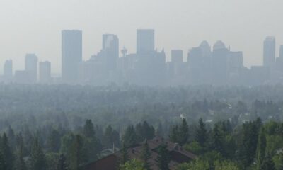 Wildfire smoke pollution linked to thousands of annual deaths: global study