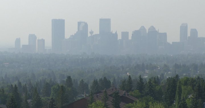 Wildfire smoke pollution linked to thousands of annual deaths: global study