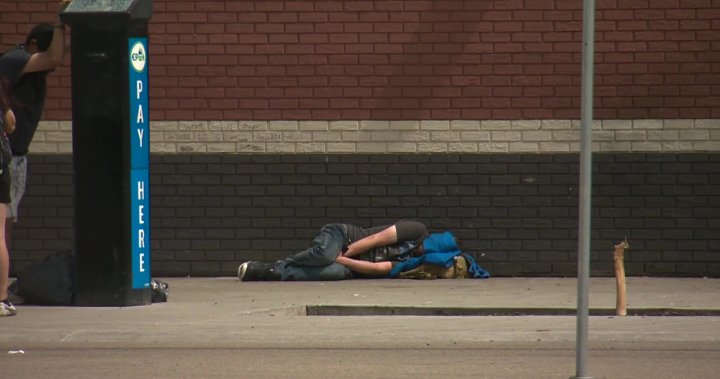 With winter approaching, initiative aims to count number of homeless Edmontonians - Edmonton