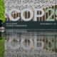 COP29 in crisis: All countries reject climate finance draft