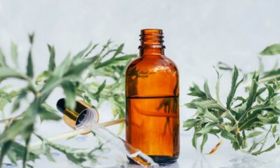 Conservative MP wants to reverse new rules for natural health products - National