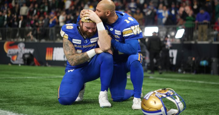 Heartbreak for Winnipeg Blue Bombers again in 3rd straight Grey Cup loss - Winnipeg