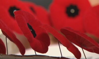 What’s open and what’s closed in Winnipeg on Remembrance Day - Winnipeg