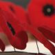 What’s open and what’s closed in Winnipeg on Remembrance Day - Winnipeg