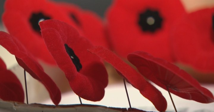 What’s open and what’s closed in Winnipeg on Remembrance Day - Winnipeg