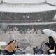 Worst November snowstorm in half century hits Seoul, grounds hundreds of airplane flights