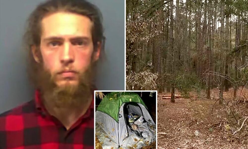 14-year-old girl found in woods after creep she met online gaming used her for sex