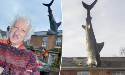 Airbnb with huge shark plunging into roof faces closure after official backlash: 'Come while you can' 