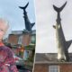 Airbnb with huge shark plunging into roof faces closure after official backlash: 'Come while you can' 