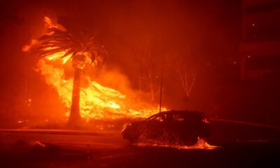 Malibu wildfire: Cher, Dick Van Dyke among 20k evacuees - National