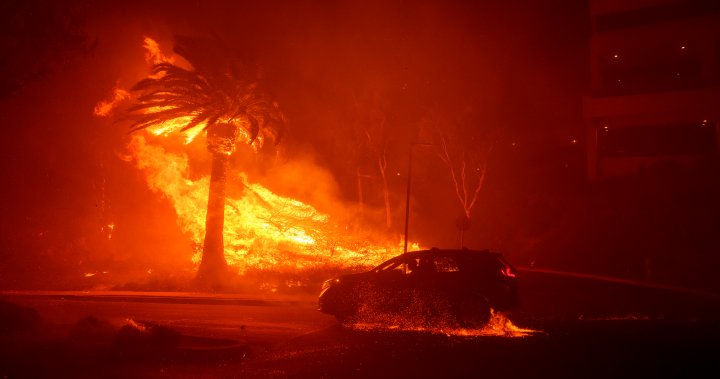 Malibu wildfire: Cher, Dick Van Dyke among 20k evacuees - National