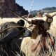 Open world sword-swinger Crimson Desert horse-powerslides to a late 2025 release