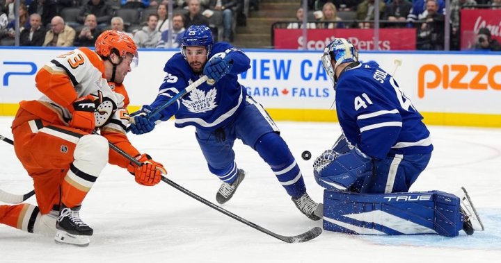 Stolarz the latest Leaf to go down with injury