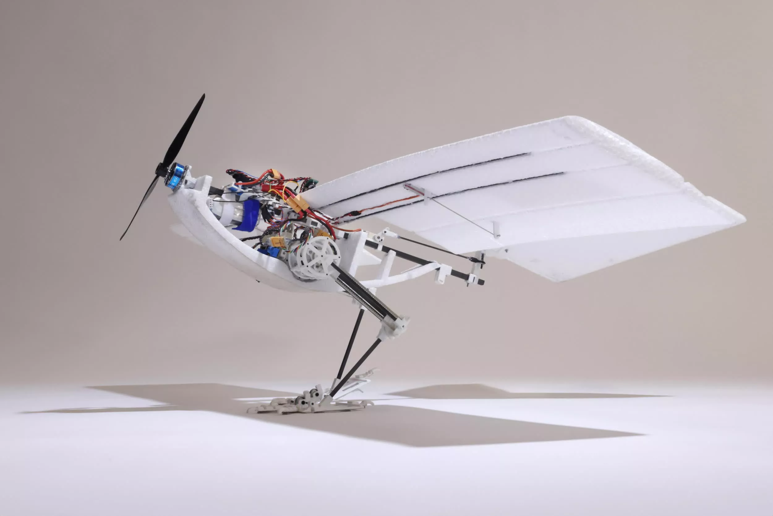 This bird-inspired drone is more energy efficient and proficient at complex flight maneuvers