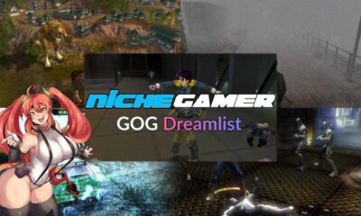 Niche Gamer Dreamlist