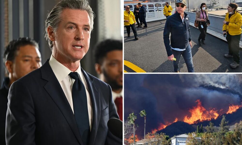 California Gov. Gavin Newsom cut $100M for fire prevention before deadly wildfires: report