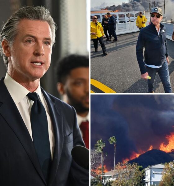 California Gov. Gavin Newsom cut $100M for fire prevention before deadly wildfires: report