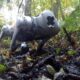 Dog robots can trek through mud using moose-inspired hooves