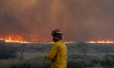 In California Fires, Trump Blames Newsom for Withholding Water. Experts Disagree.