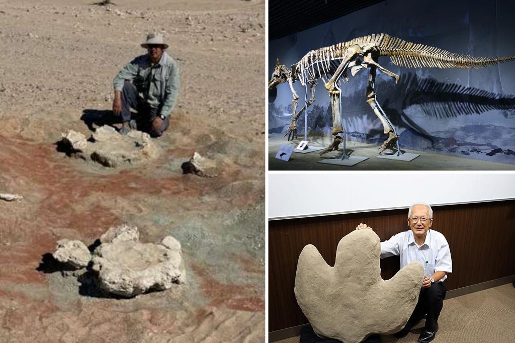 Largest two-legged dinosaur footprints discovered, scientists say