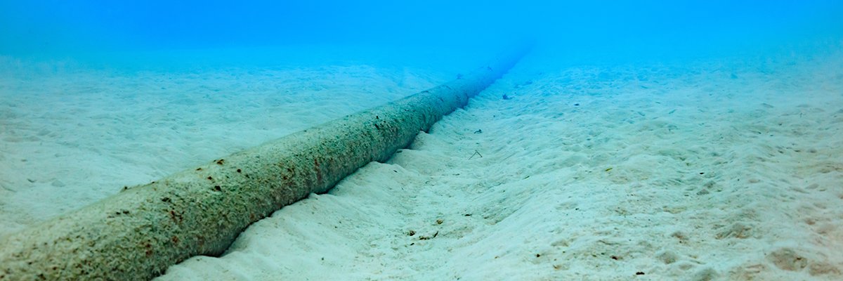 MPs and peers start inquiry into Russian and Chinese sabotage threats to subsea internet cables