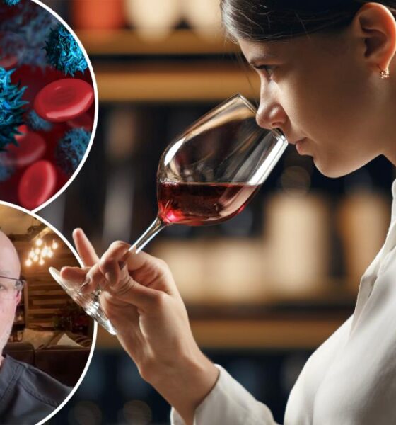 Neurosurgeon reveals how alcohol affects the body