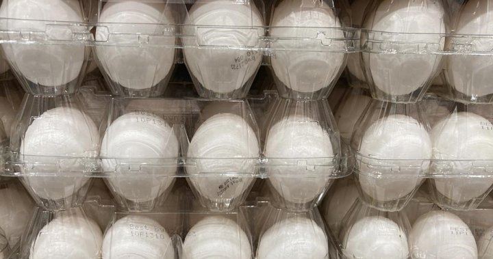 Recall issued for batches of eggs from 6 Canadian brands