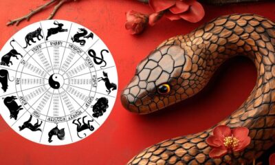 what the Year of the Wood Snake means for you