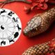 what the Year of the Wood Snake means for you