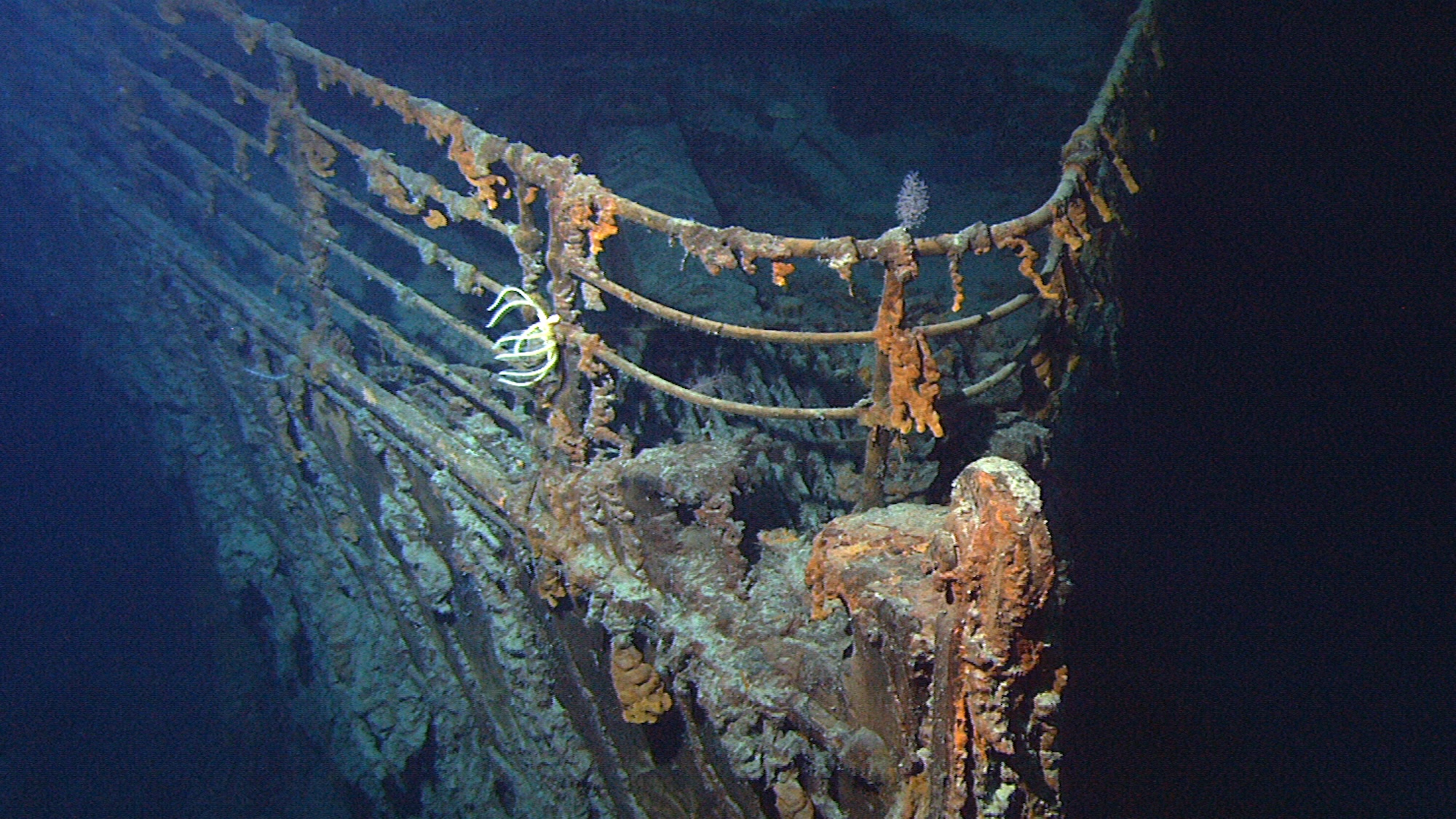 ‘Titanic’ artifact salvage efforts paused indefinitely