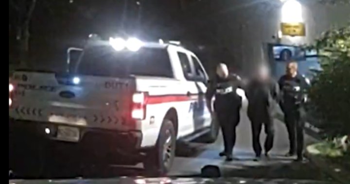 ‘You’re hitting the wall’: Woman warns drunk driver in video released by Ontario police