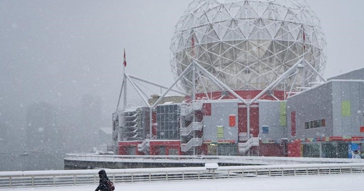 B.C.’s South Coast braces for season’s first real blast of winter weather - BC