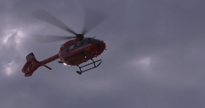 Baby flown by air ambulance to hospital in Edmonton following dog attack