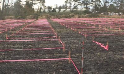 Massive new community garden set to open in Saanich this spring - BC