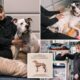 Retired Long Island nurse, health teacher uses ancient technique to calm anxious animals: 'Just like people'