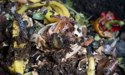 The US wants to cut food waste in half. We’re not even close.